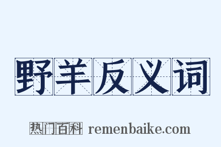 野羊反义词是什么意思的图片